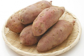 紅薯是重要的工業原料作物